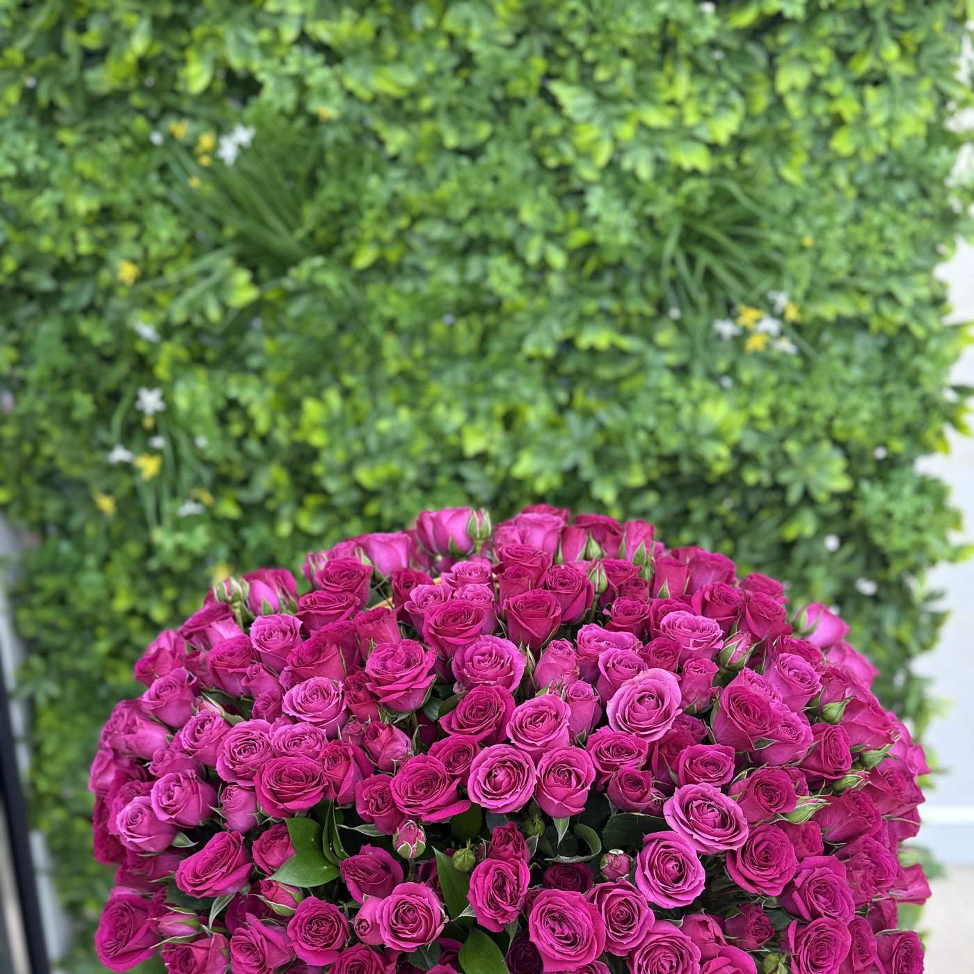 Showstopper Pink bright pink rose arrangement for birthdays and events from Lina Flowers
