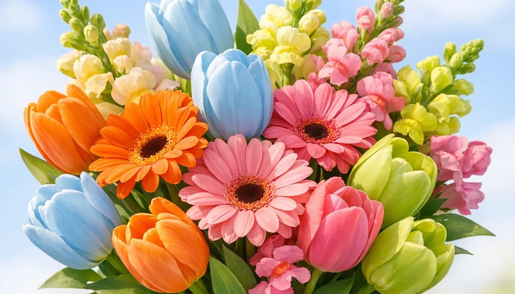International Youth Day flower guide banner featuring gerbera daisies, tulips, snapdragons in tangerine, pink, sky, lime tones