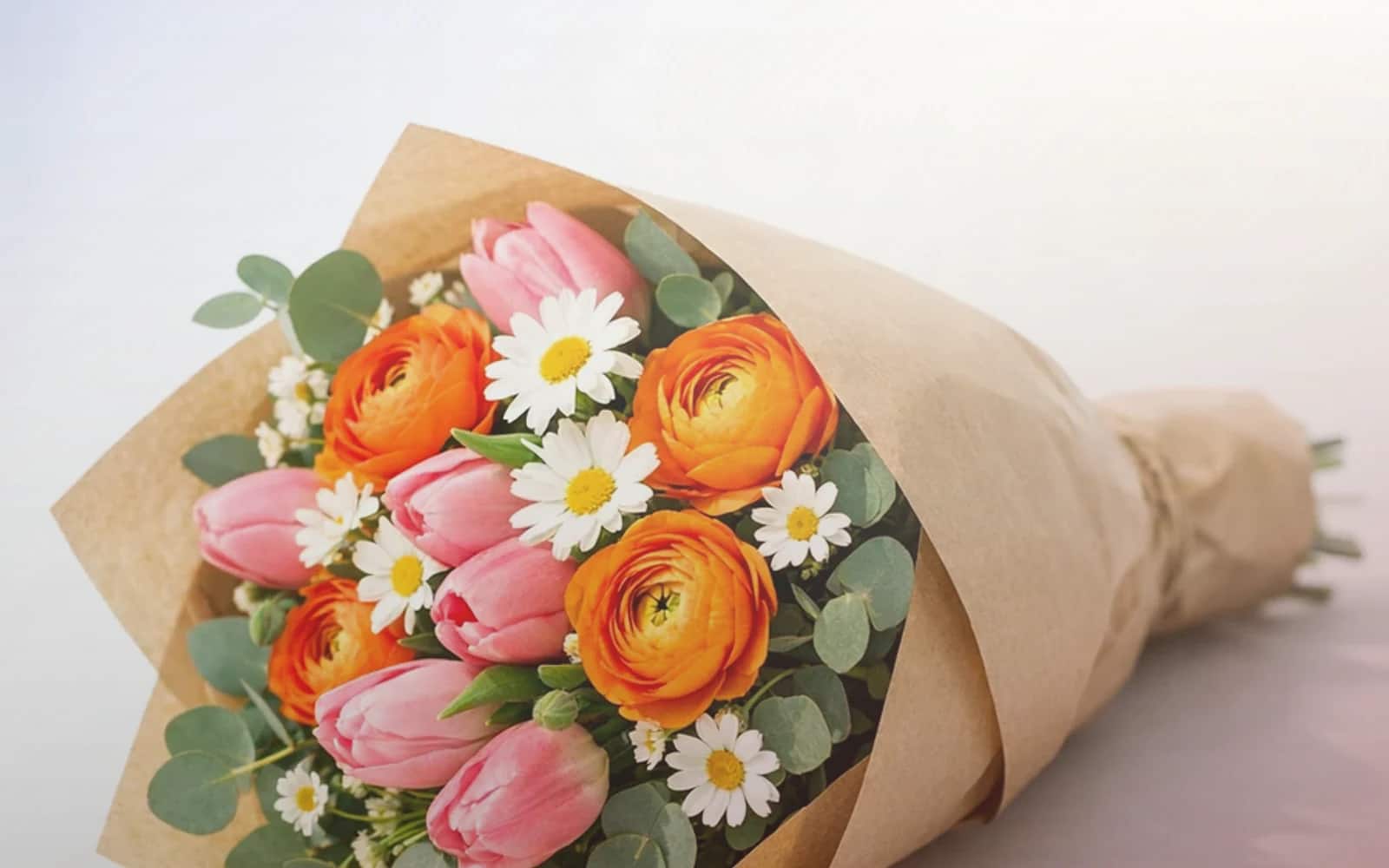 Bastille Day flowers with cornflowers, white garden roses, and red ranunculus, cornflower blue, soft ivory, and warm red color direction, and premium French country, relaxed, elegant, and quietly proud styling from Lina Flowers