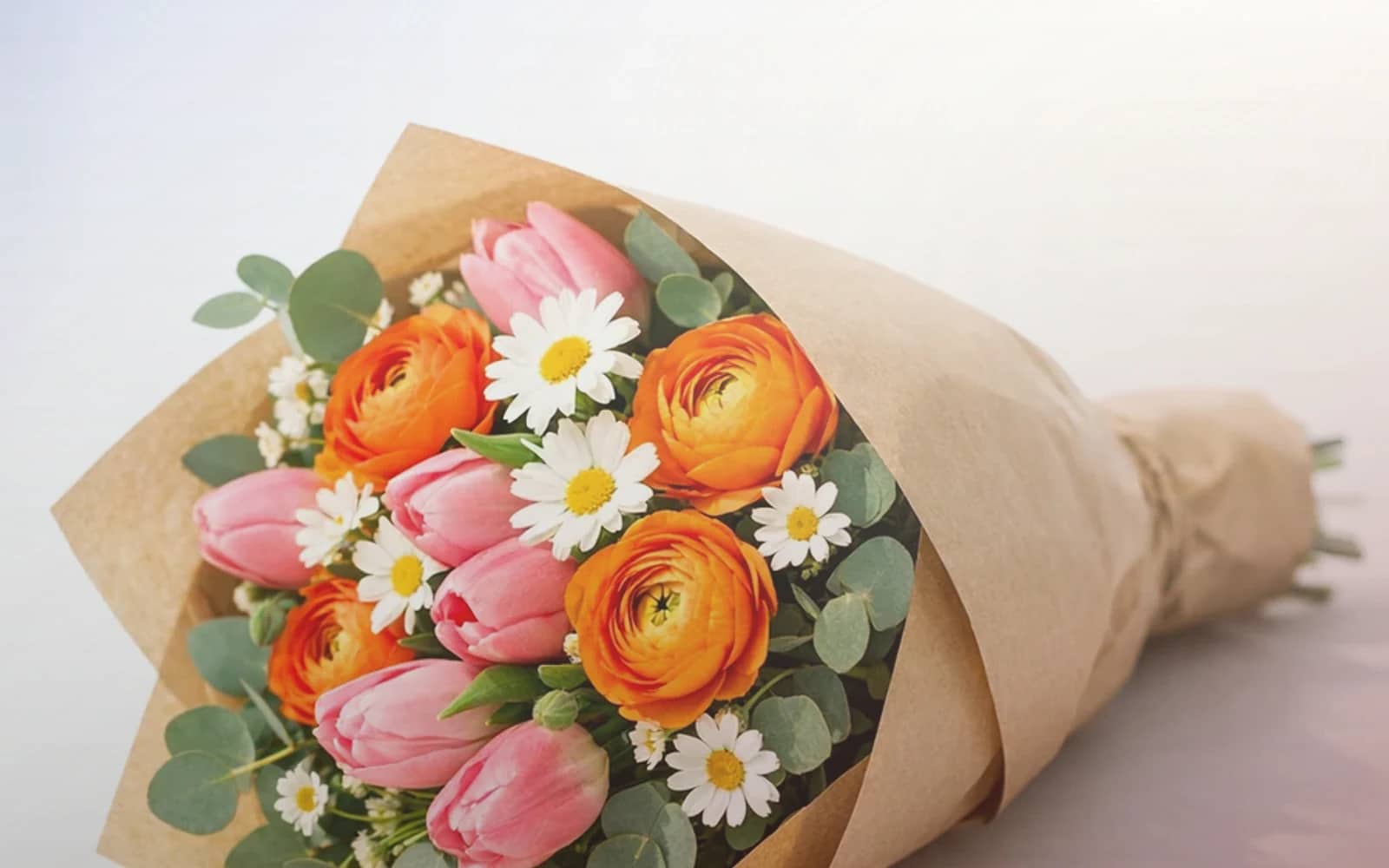 Bastille Day flowers with cornflowers, white garden roses, and red ranunculus, cornflower blue, soft ivory, and warm red color direction, and premium French country, relaxed, elegant, and quietly proud styling from Lina Flowers