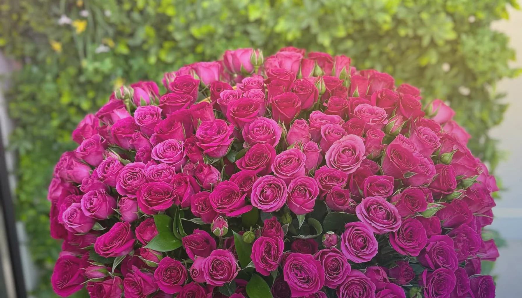 Cinco de Mayo flowers collection banner with marigolds, magenta dahlias, and red garden roses and vibrant, festive, generous, and warmly celebratory styling from Lina Flowers