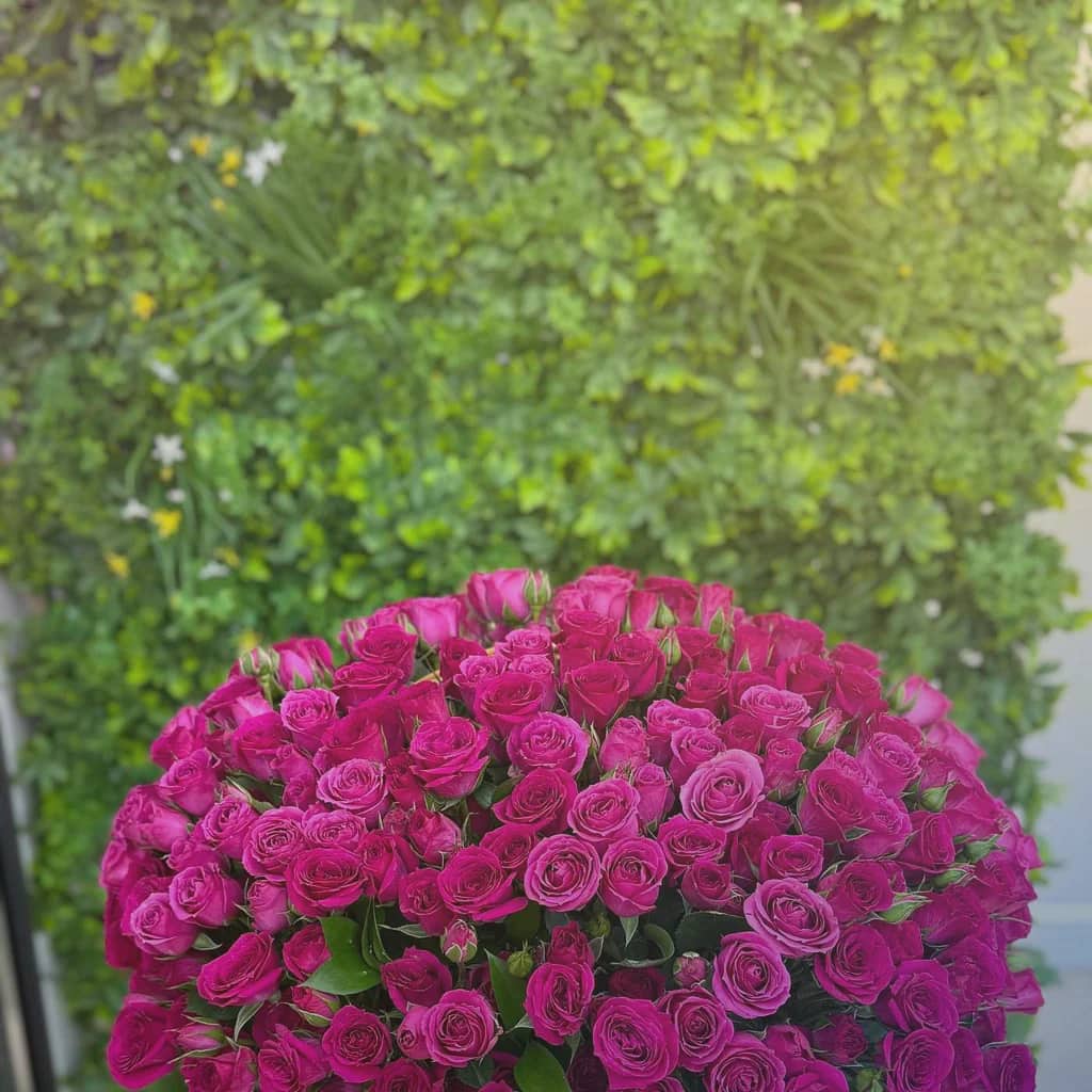 Cinco de Mayo flowers preview with marigolds, magenta dahlias, and red garden roses in festival magenta, marigold yellow, and cobalt blue tones from Lina Flowers
