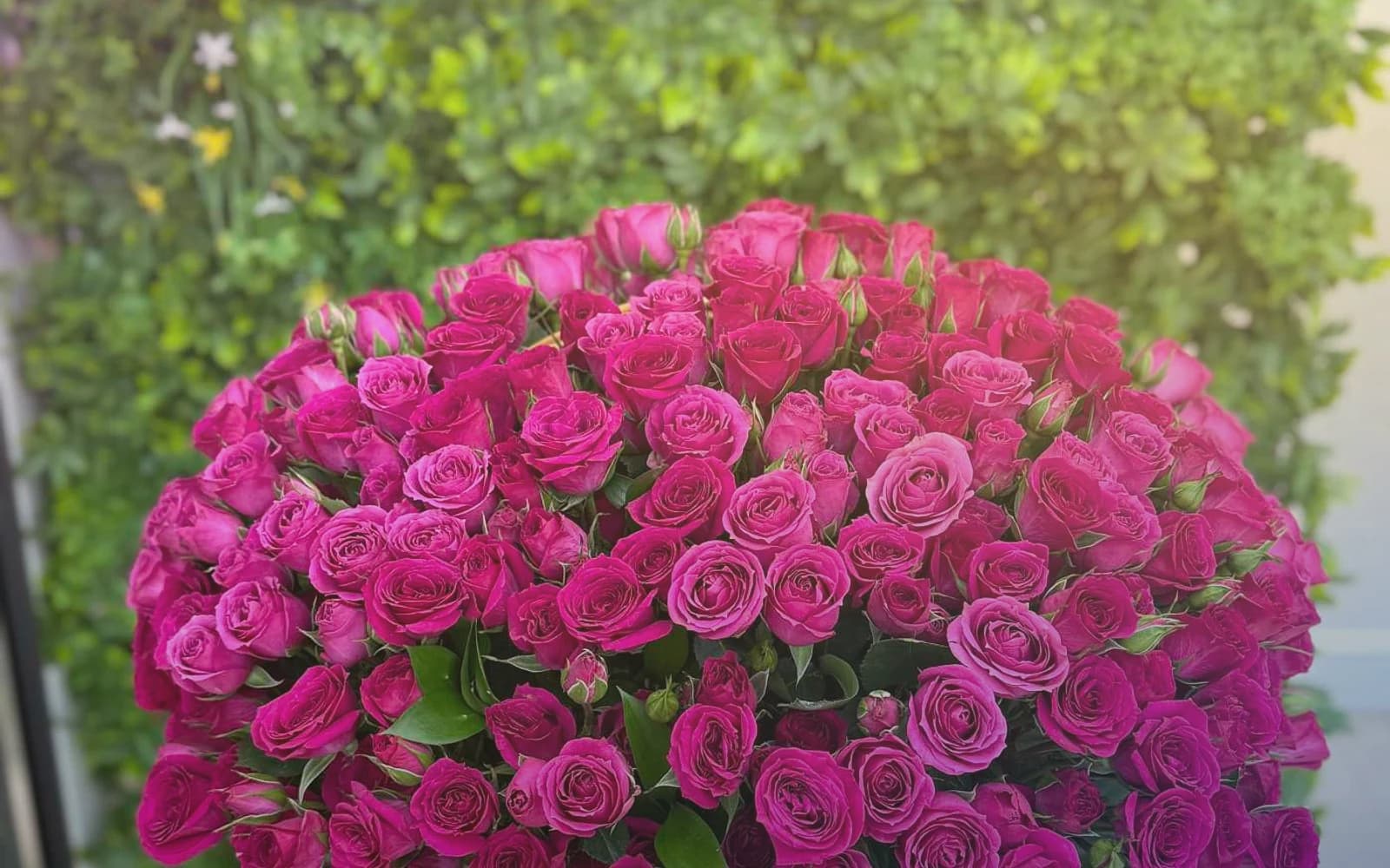 Cinco de Mayo flowers with marigolds, magenta dahlias, and red garden roses, festival magenta, marigold yellow, and cobalt blue color direction, and premium vibrant, festive, generous, and warmly celebratory styling from LiNa Garden