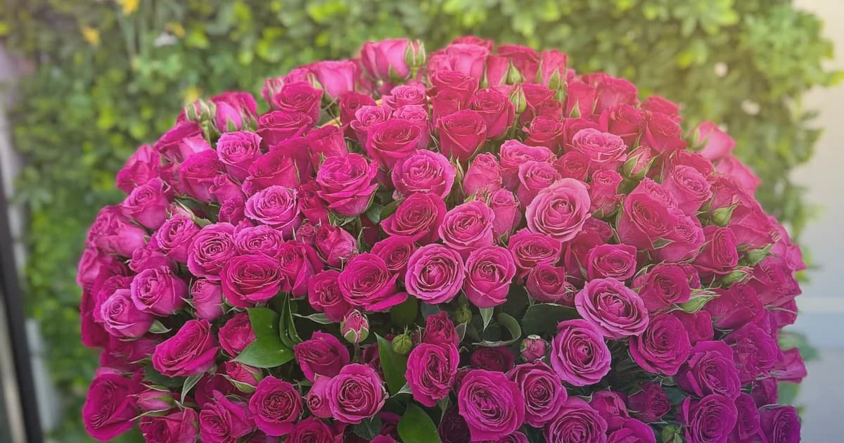 Cinco de Mayo flowers social share image with marigolds, magenta dahlias, and red garden roses, festival magenta, marigold yellow, and cobalt blue tones, and premium Lina Flowers styling