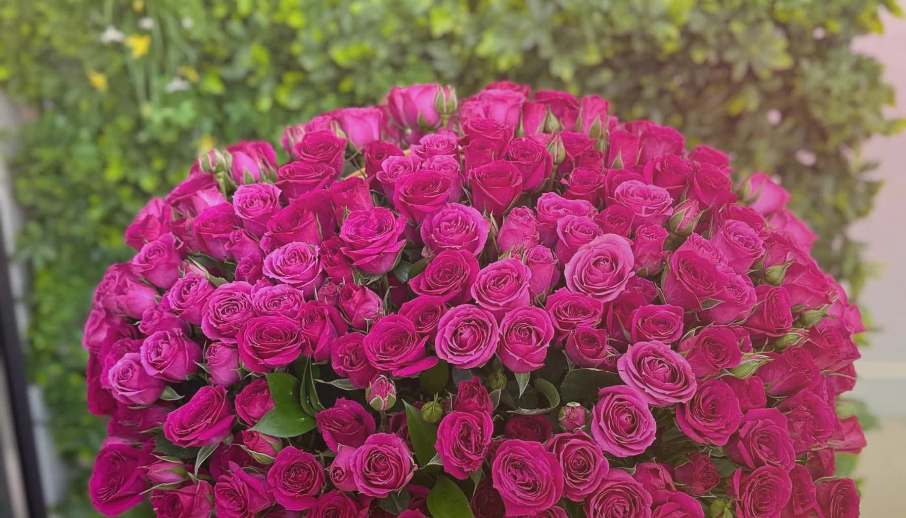 Diwali flowers collection banner with marigolds, red garden roses, and gold ranunculus and warm, abundant, lantern-lit, and ceremonial styling from Lina Flowers