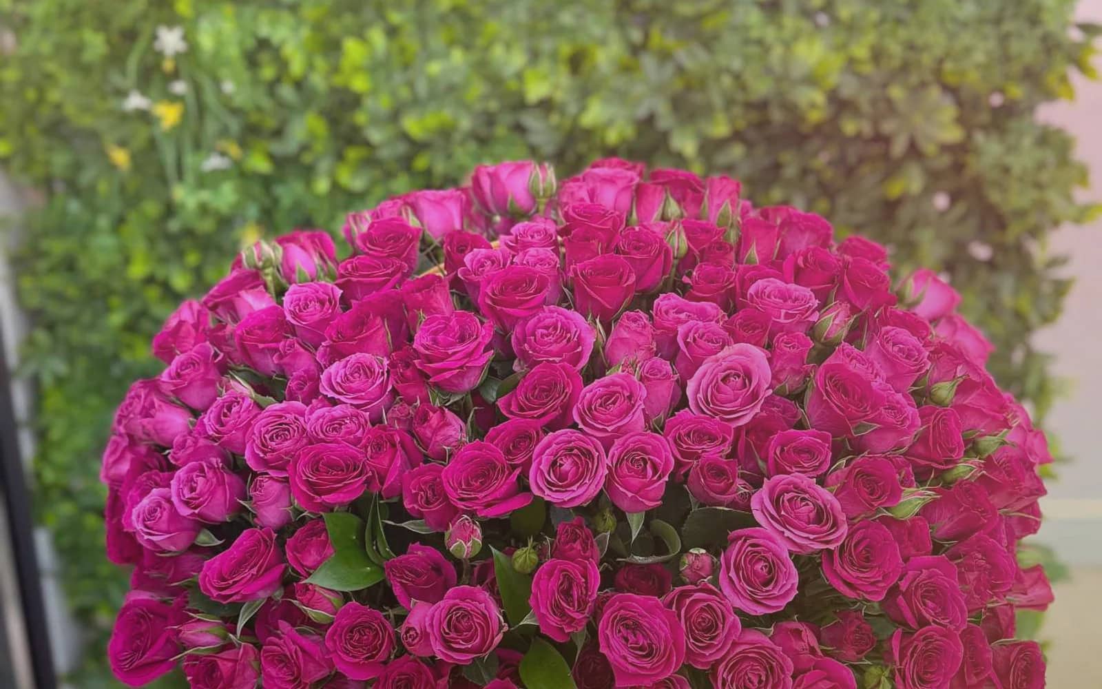 Diwali flowers with marigolds, red garden roses, and gold ranunculus, marigold yellow, diwali crimson, and festival gold color direction, and premium warm, abundant, lantern-lit, and ceremonial styling from Lina Flowers