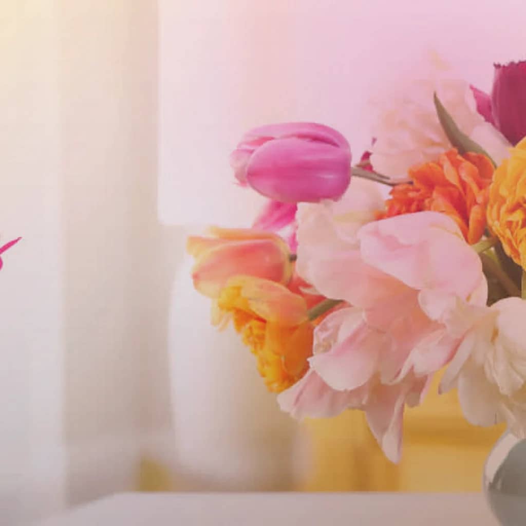 Holi flowers preview with marigolds, magenta ranunculus, and orange roses in marigold yellow, festival magenta, and saffron orange tones from Lina Flowers