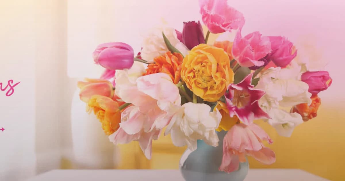 Holi flowers social share image with marigolds, magenta ranunculus, and orange roses, marigold yellow, festival magenta, and saffron orange tones, and premium Lina Flowers styling