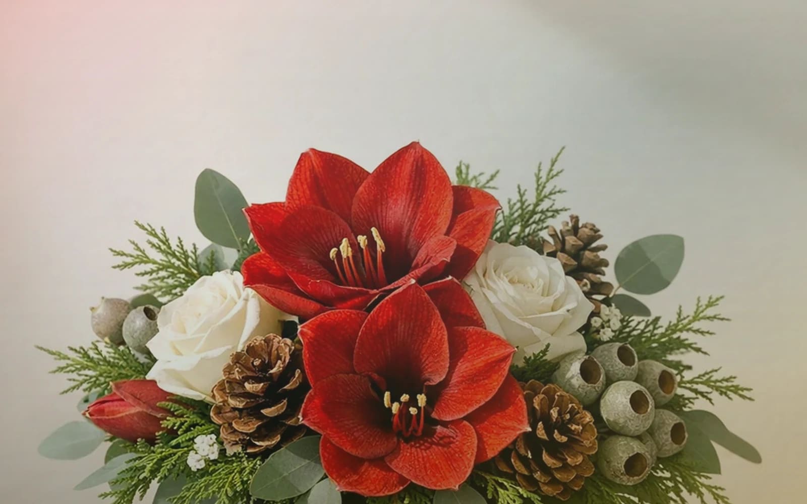 Las Posadas flowers with poinsettias, red garden roses, and evergreen branches, poinsettia red, deep evergreen, and warm gold color direction, and premium ceremonial, processional, warm, and respectfully traditional styling from Lina Flowers