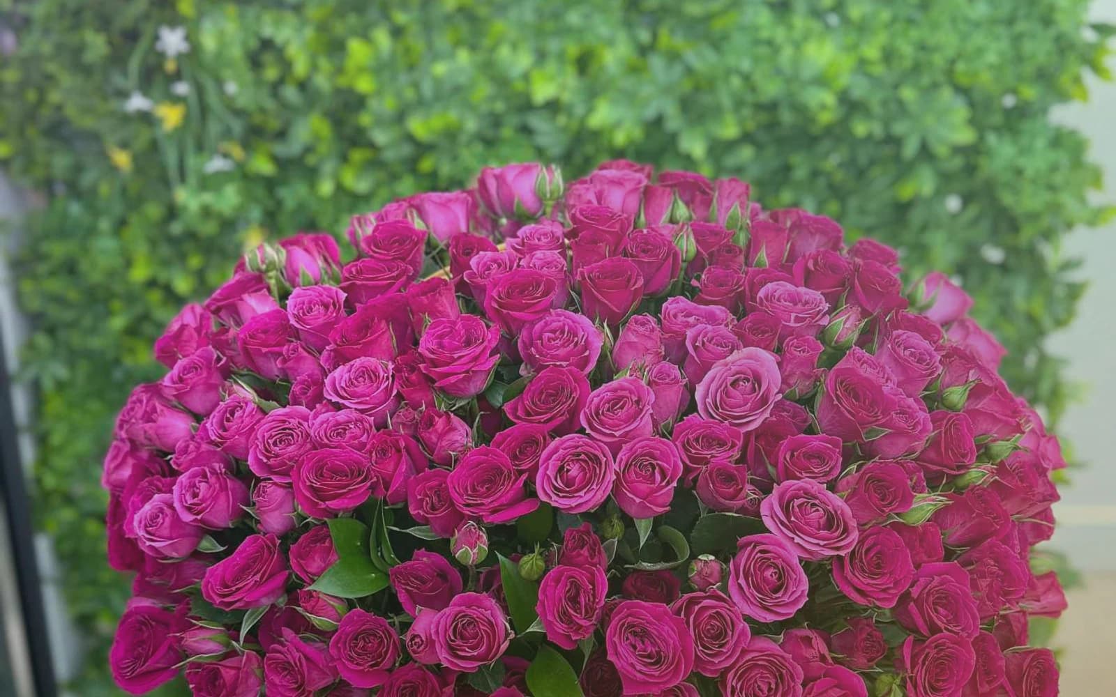Mardi Gras flowers with purple lisianthus, green hellebores, and gold-toned roses, royal purple, parade green, and carnival gold color direction, and premium festive, jewel-toned, generous, and confident styling from Lina Flowers