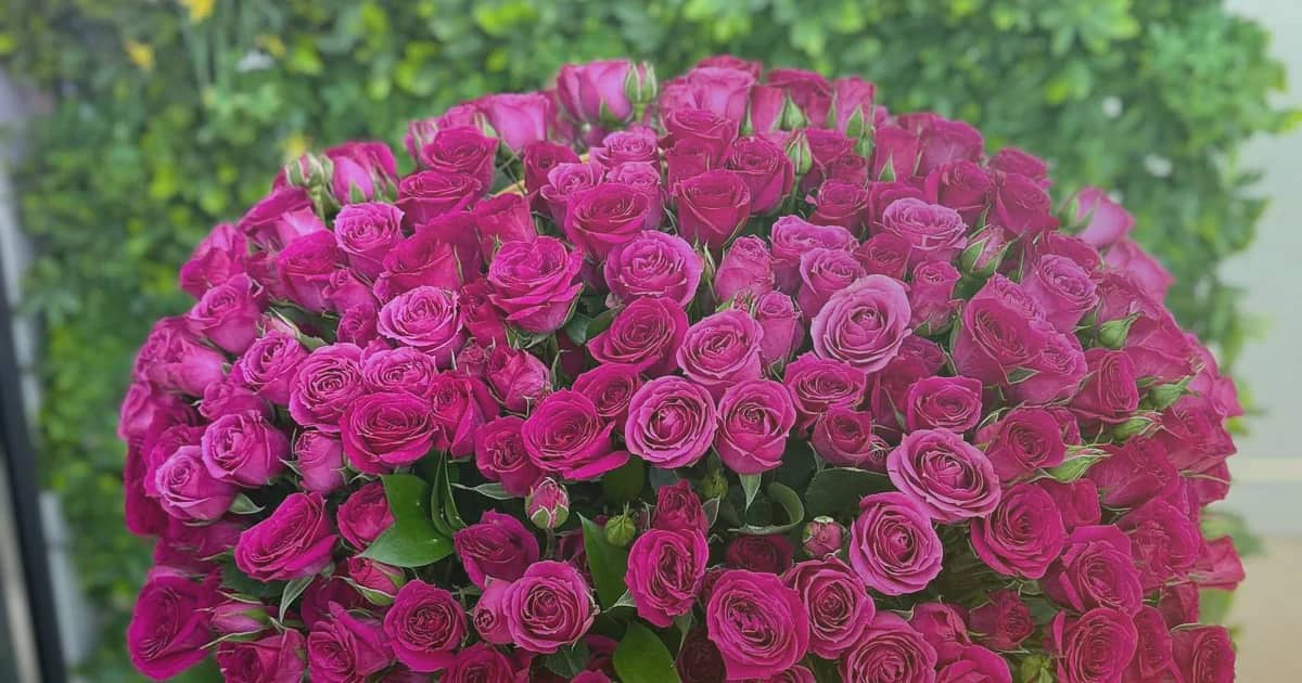 Mardi Gras flowers social share image with purple lisianthus, green hellebores, and gold-toned roses, royal purple, parade green, and carnival gold tones, and premium Lina Flowers styling