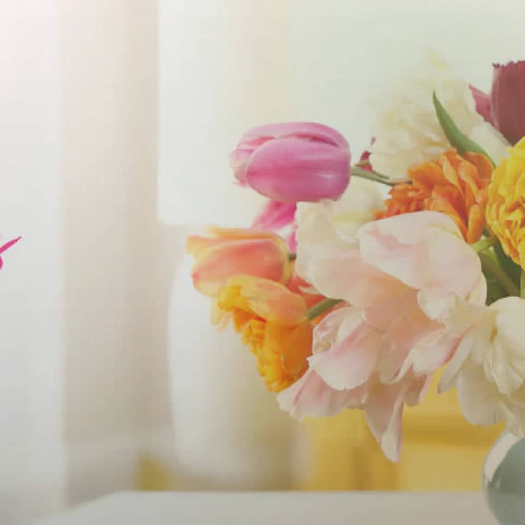 Tu BiShvat flowers preview with flowering quince, almond branches, and soft pink ranunculus in almond blossom, olive branch, and warm honey tones from Lina Flowers