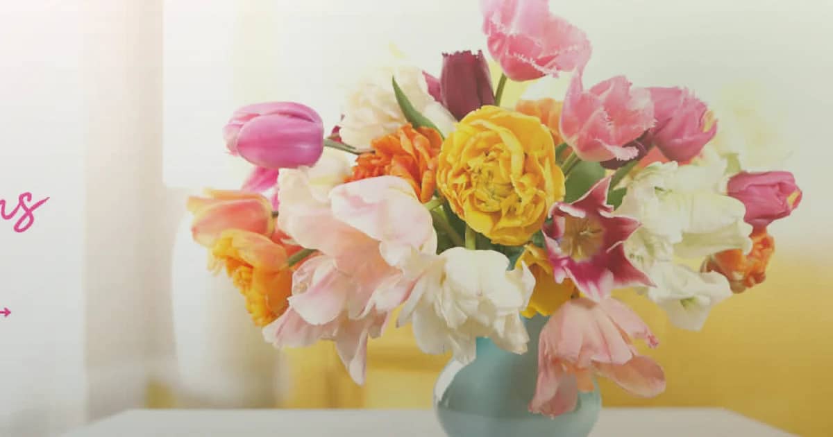 Tu BiShvat flowers social share image with flowering quince, almond branches, and soft pink ranunculus, almond blossom, olive branch, and warm honey tones, and premium Lina Flowers styling
