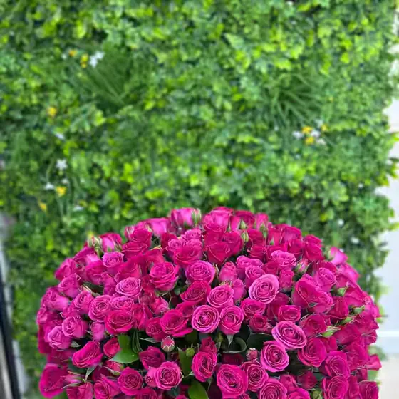 Showstopper Pink bright pink rose arrangement for birthdays and events from Lina Flowers
